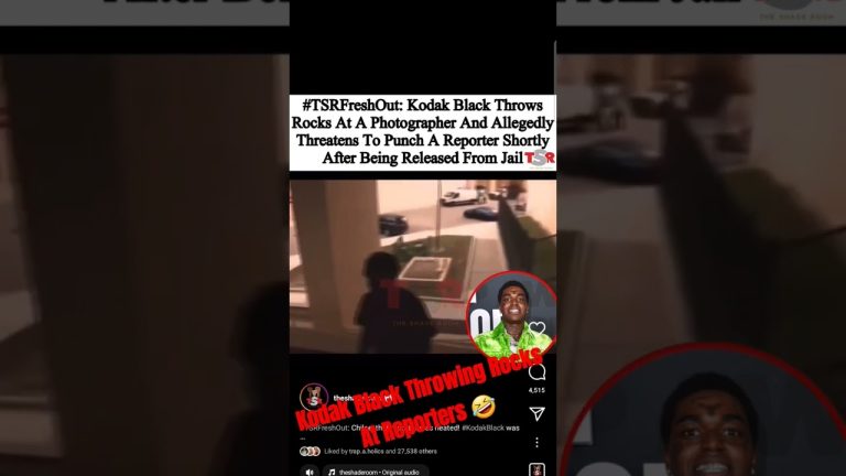 kodak Black Throwing Rocks At Reporters First Day Out #kodakblack #viral #hiphop