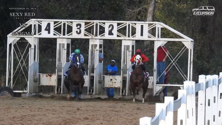 Sexy Red vs Enigma 250 YDS | Black Creek Horse Track